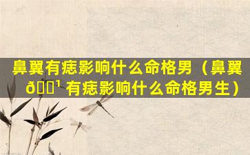 鼻翼有痣影响什么命格男（鼻翼 🌹 有痣影响什么命格男生）